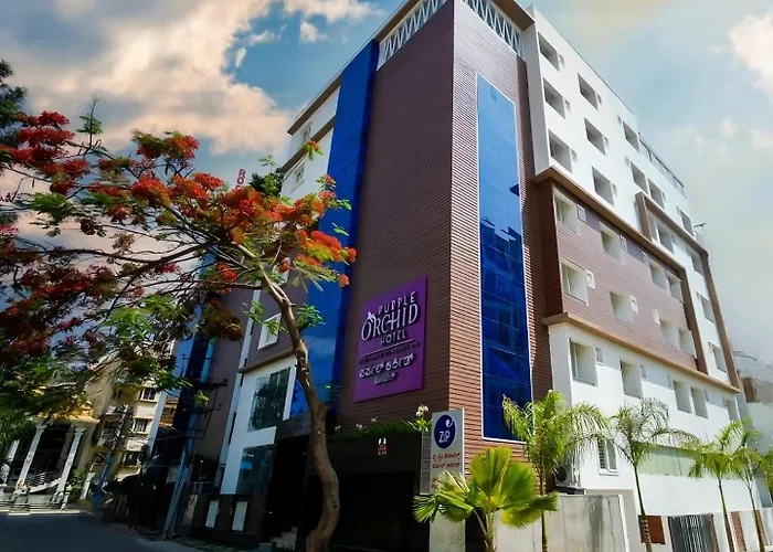 Zip By Spree Hotels Purple Orchid Whitefield