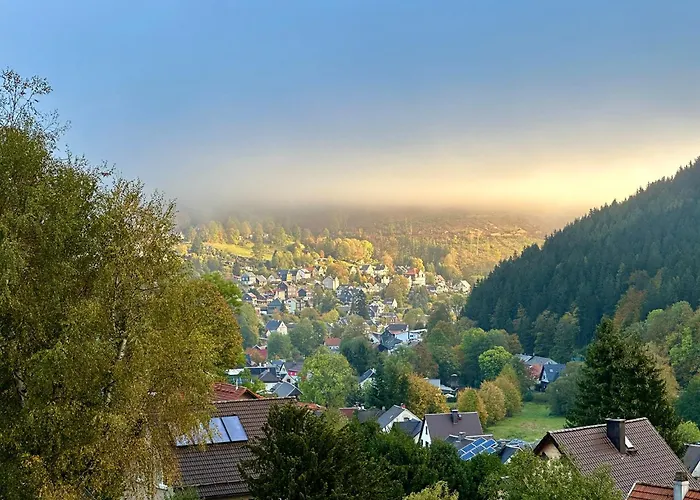 Günstiges Hotel: Pension Am Waldesrand