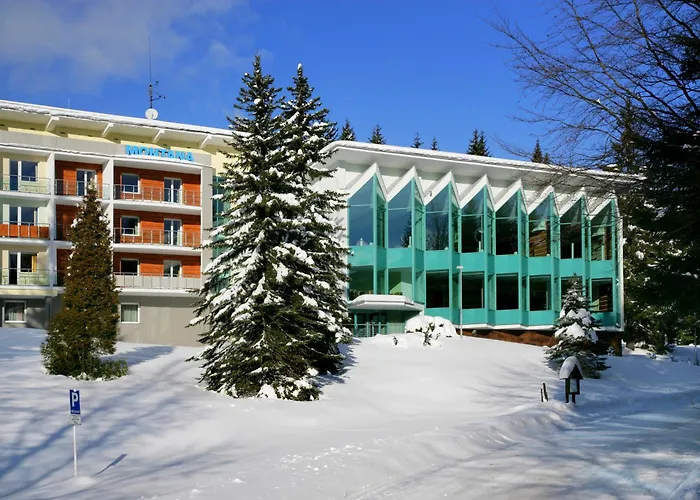 Hotel mit Hund Horsky Montana