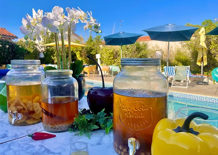 Animaux admis Le Galion Et Restaurant Canet Plage - Logis