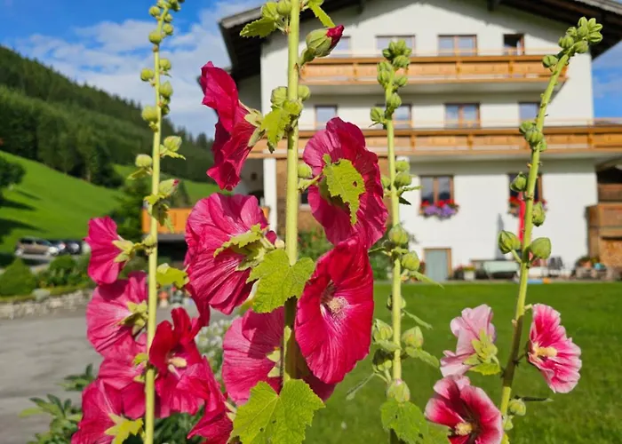 Bergkristall B&B