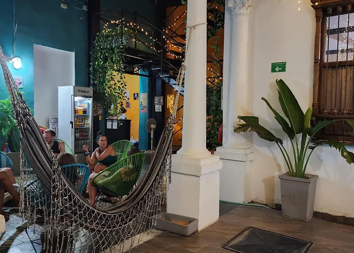 Albergue: Baboon Hostel