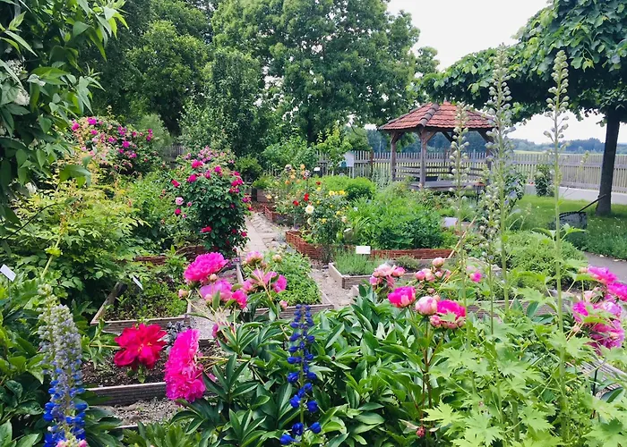 Familienhotels -Landgasthof Kreuz