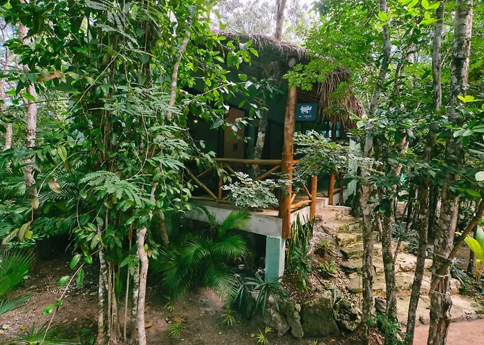 Villas Zamna - Jungle Villas