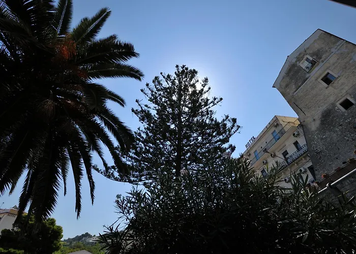 Hotel adatto agli animali: Hotel Miramare