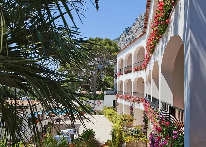 Pet Friendly hotel: Hotel Della Piccola Marina