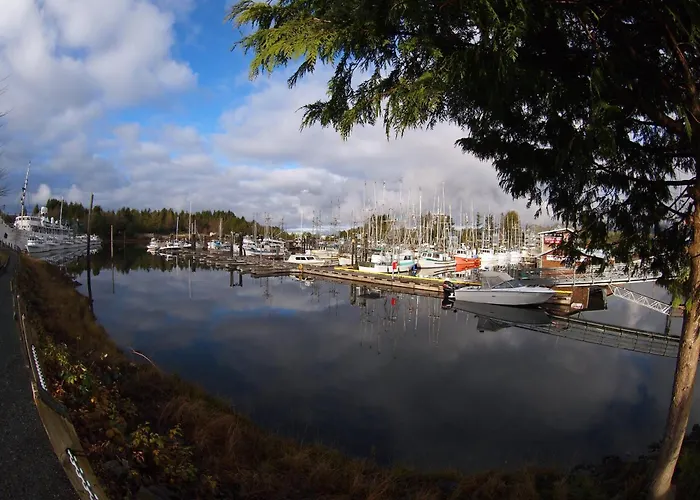 West Coast On The Harbour
