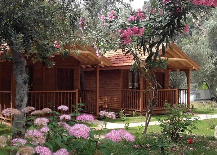 Guest house: Kidrak Otel Montenegro-1