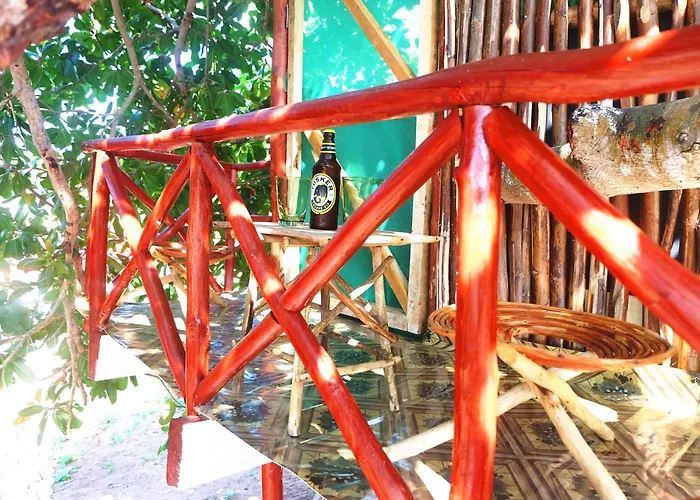 Pet Friendly hotel: Diani Hostel