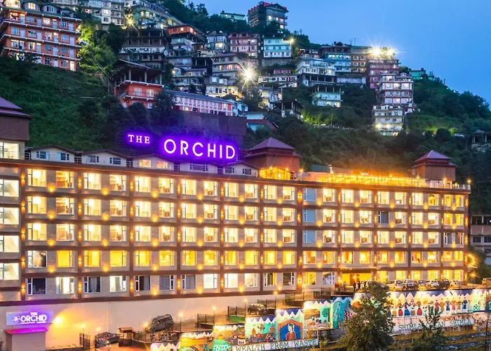 Orchid Shimla