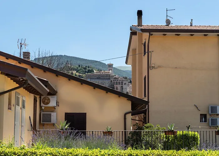 Il Girasole
