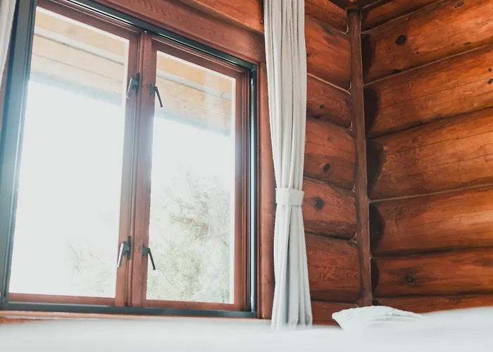 Villa: Hakuba Pension & Log Hotel Meteor