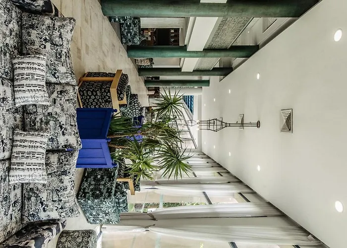 Hôtel accueillant les animaux: Wazo Hotel