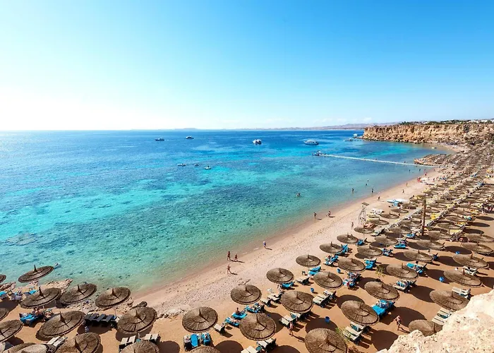Reef Oasis Beach Aqua Park Resort