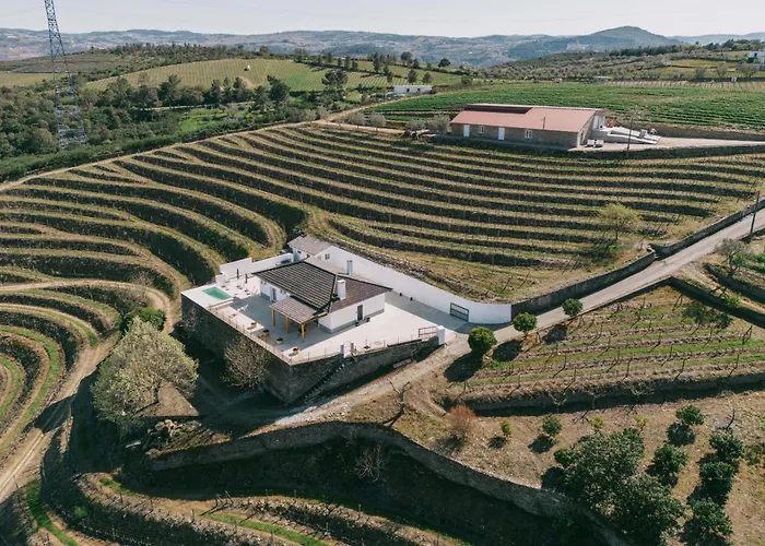 Feel Discovery Quinta Do Muro Douro Valley
