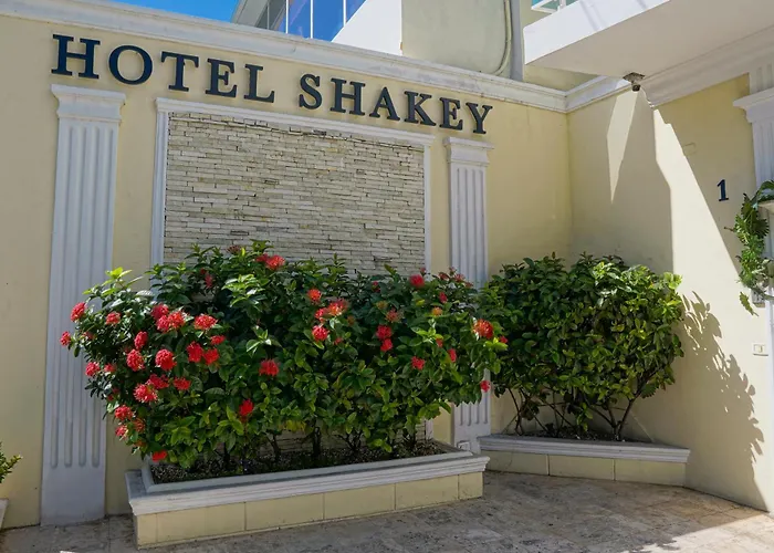  Shakey