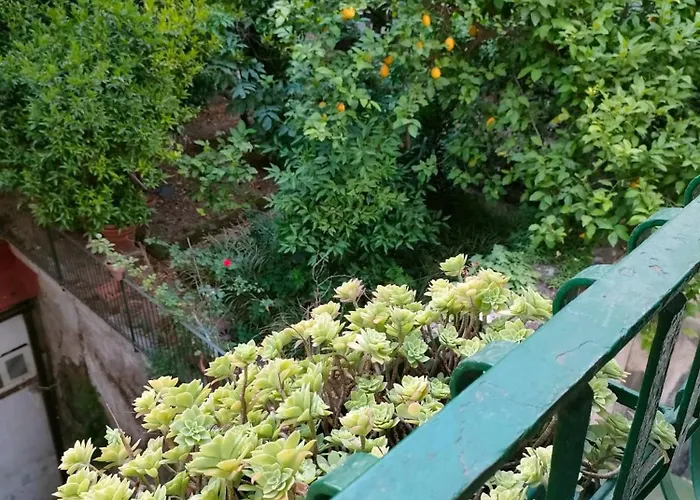 Casa Di Freddie