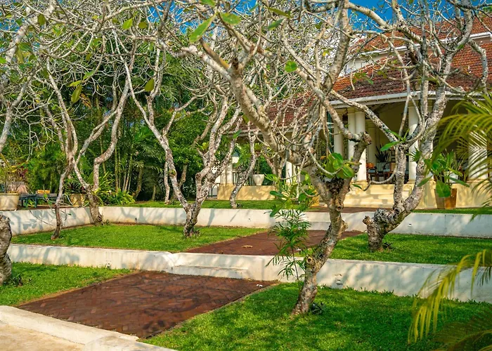 Family Hotel: The Sun House