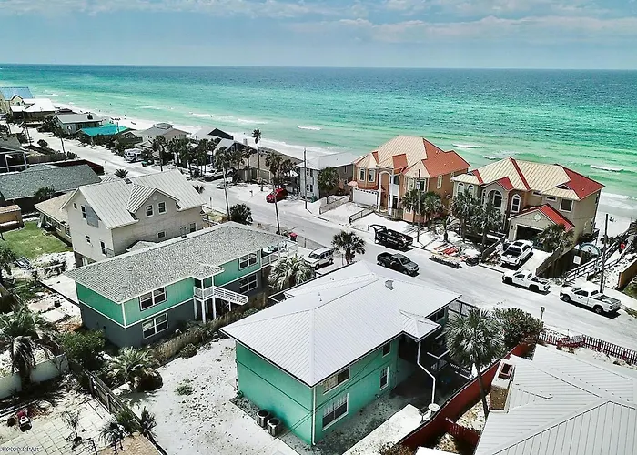 Sand Dollar