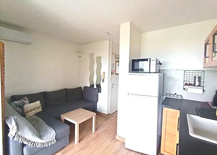 Hôtel accueillant les animaux: Appartement Vue Mer 208