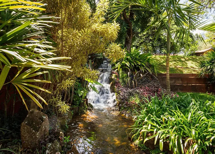 Shangri-La Fazenda