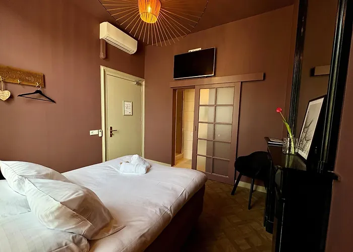 B&B: B&B Willem II