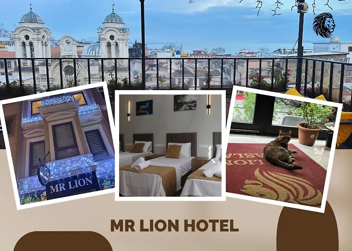 Mr Lion Kumkapi