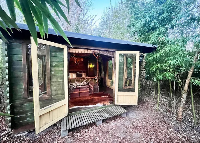 Hotel met uitzicht: Bamboo Lodge Groningen