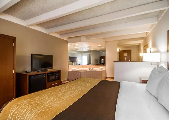 Hotel: Comfort Inn & Suites Madison - Airport