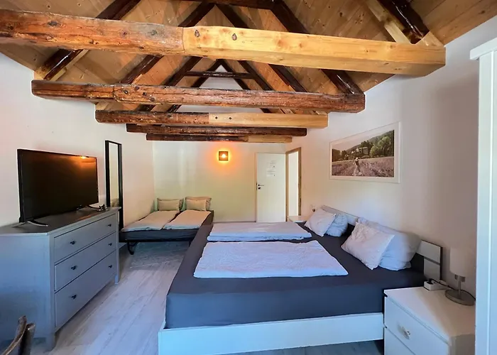 Haustierfreundliches Hotel: 24-7 Apartment Passau