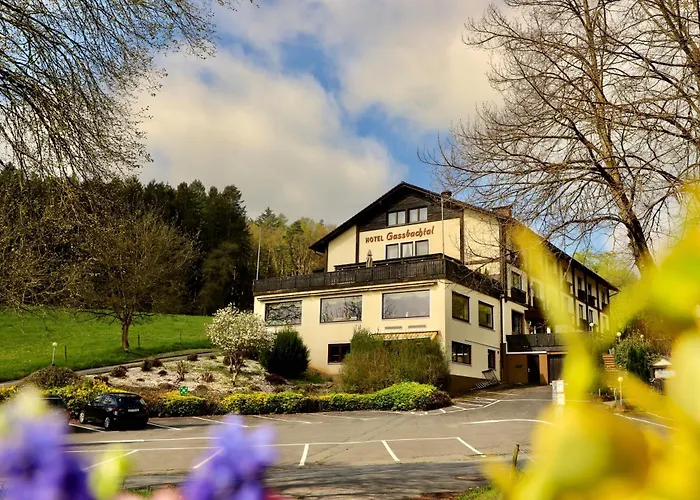Haustierfreundliches Hotel: Hotel Gassbachtal