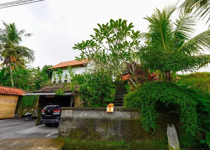 Hotel familiare: Green Coconut Cottage