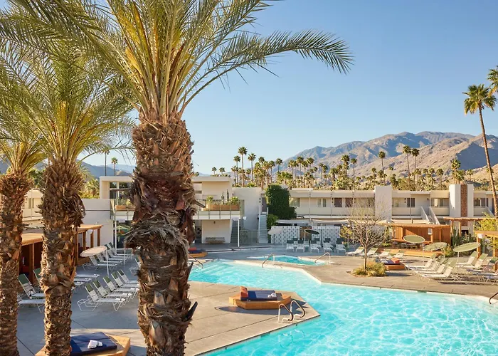 Hôtel accueillant les animaux: Ace Hotel And Swim Club Palm Springs