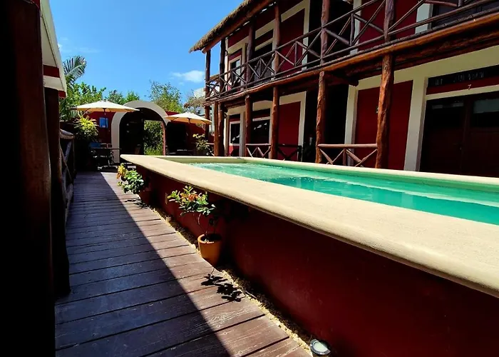 Animaux admis Holbox Isla Bonita