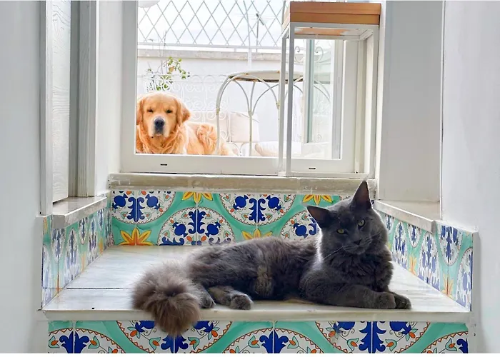 Hotel mit Hund B&B Le Bateau Bleu Adults Only 12 Plus