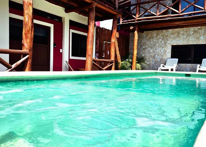 Animaux admis Holbox Isla Bonita