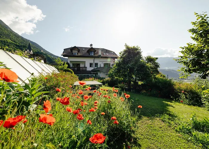 Haustierfreundliches Hotel: Hofer am Bach