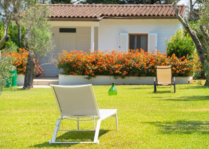 Azienda Agrituristica Scalelle