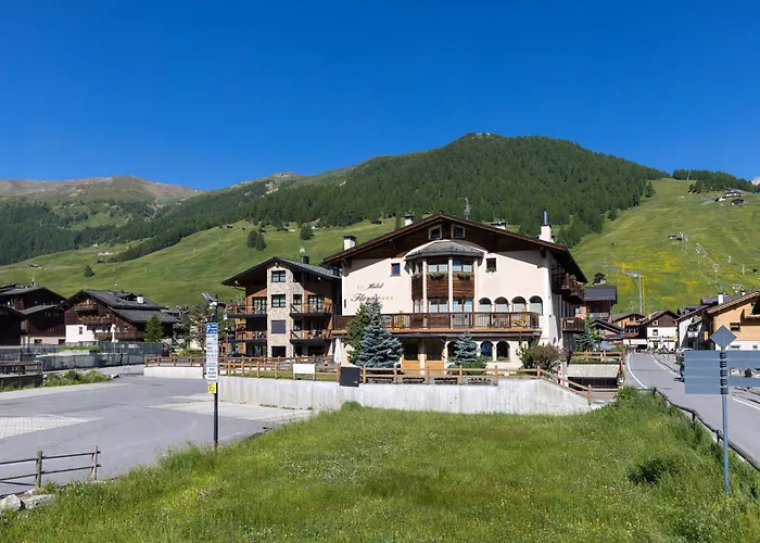 Hotel con piscina: Hotel Flora