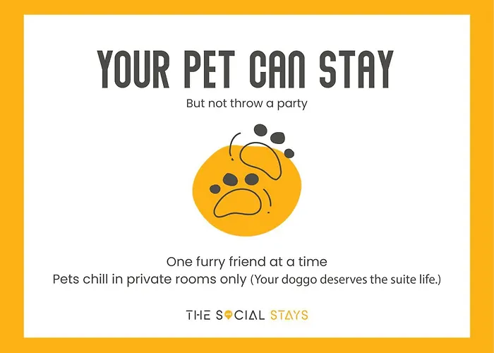The Social Stays Manali