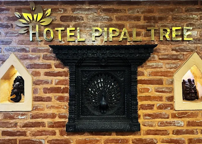  Pipal Tree
