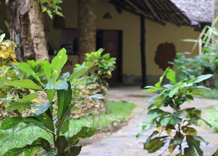 Eleven Pearl Boutique & Spa