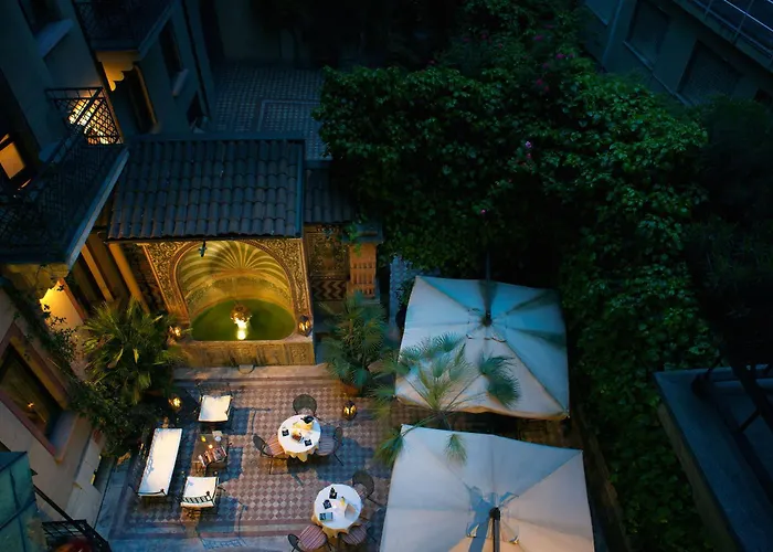 Hôtel accueillant les animaux: Hotel Milano Regency