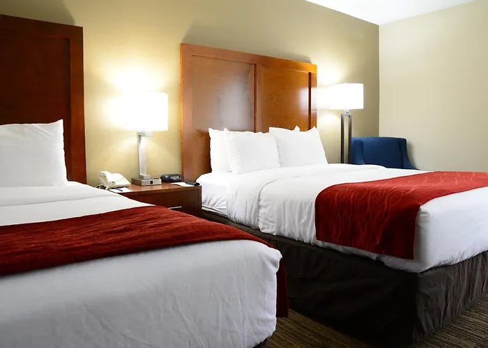 Family Hotel: Comfort Inn University Durham - Chapel Hill
