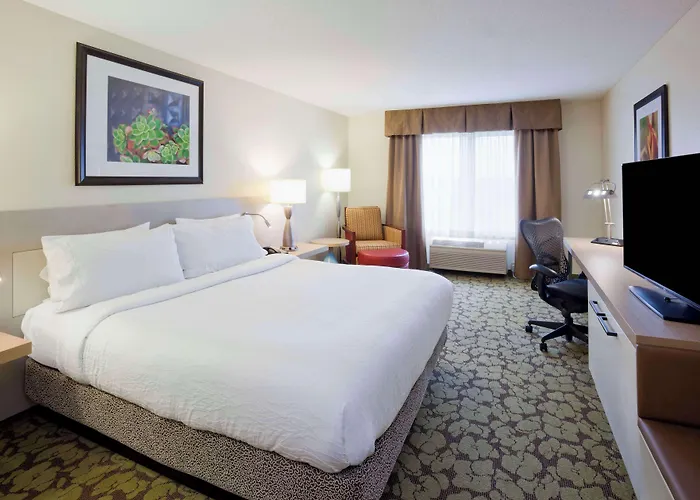 Boutique hotels Hilton Garden Inn Minneapolis Eagan