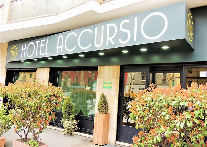 Accursio
