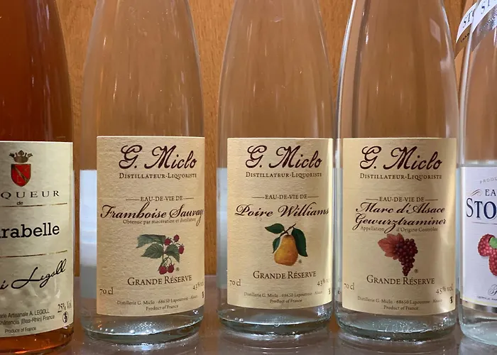 Hôtel accueillant les animaux: Hotel Bristol