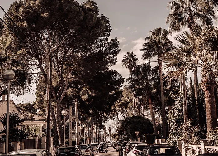 3-Sterne-Hotel: Caramelo Palma Beach (Adults Only)