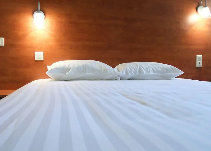 Hôtel accueillant les animaux: Adams Hotel