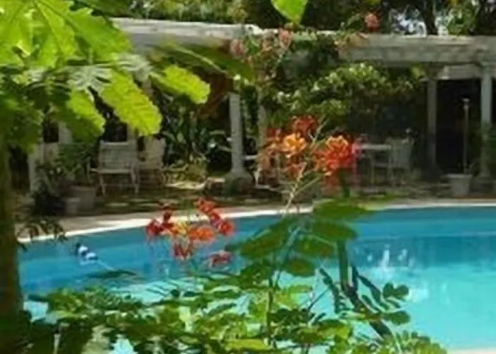Orchard Garden